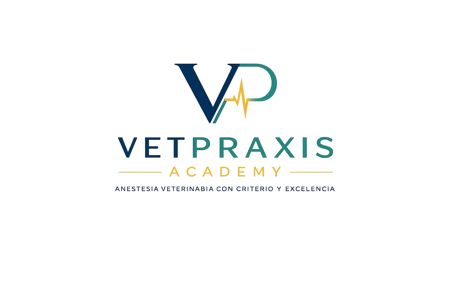 vetpraxis.es